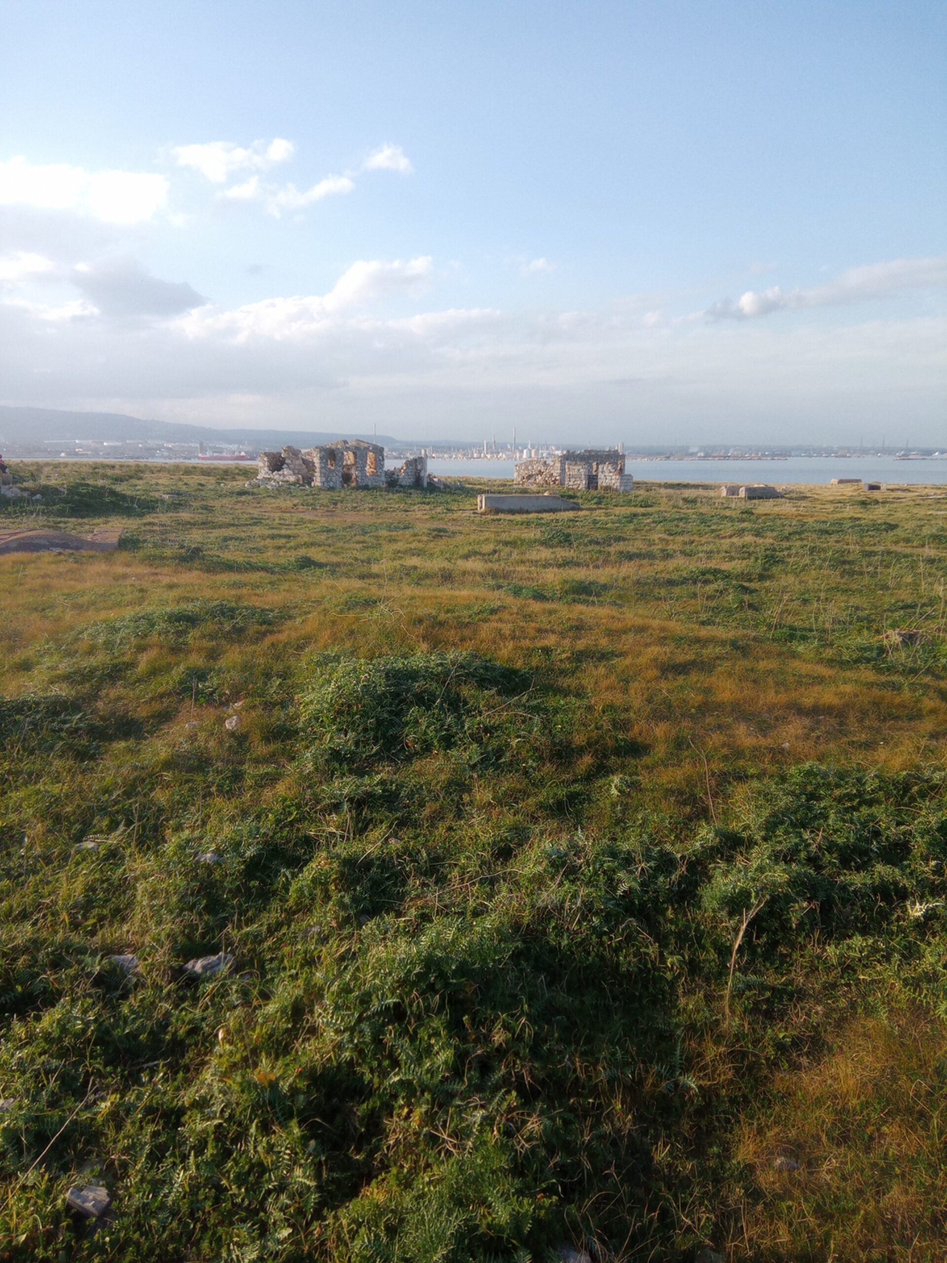 THAPSOS VISTA