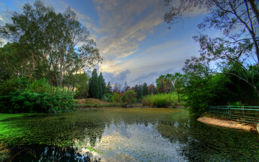 La Riserva Fiume Ciane e Saline di Siracusa